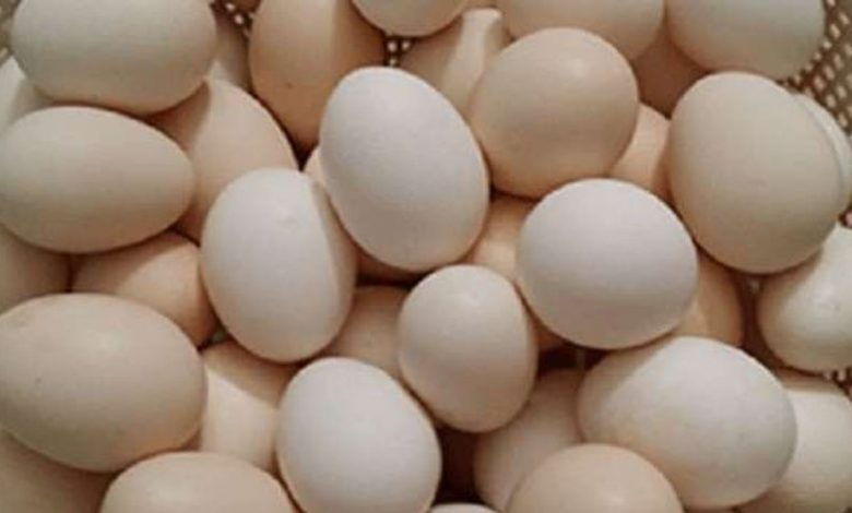بعد زيادته 50 قرشا.. تجار يكشفون أسباب ارتفاع بيض المائدة
